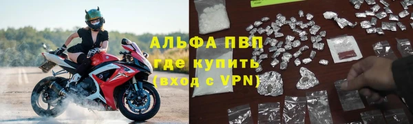 spice Богородск