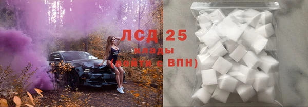 spice Богородск