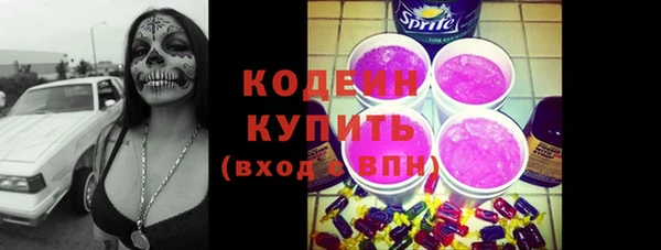 spice Богородск