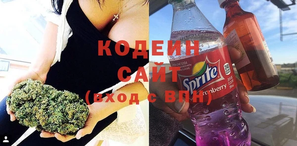 spice Богородск