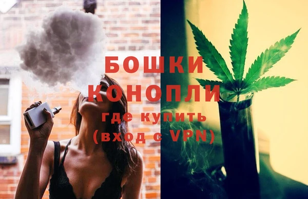 spice Богородск