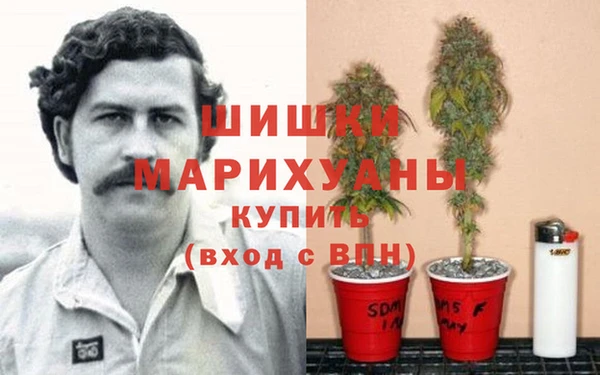 гашишное масло Богданович