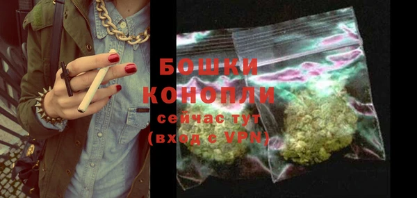 spice Богородск