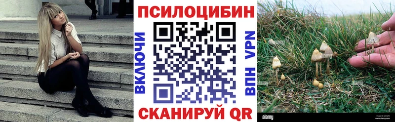 даркнет клад  дарнет шоп  Кирово-Чепецк  Галлюциногенные грибы Cubensis 